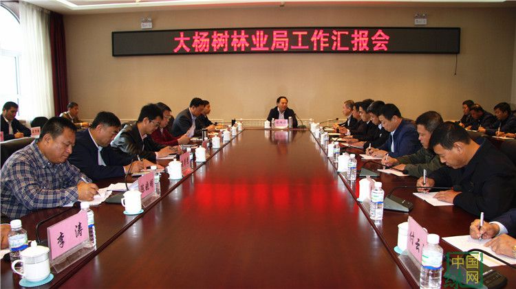 陳佰山到大楊樹林業局調研指導工作1 (2).JPG
