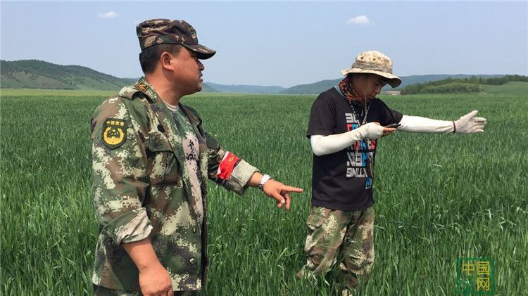 畢拉河局大二溝林場(chǎng)持續(xù)推進(jìn)打擊毀林開墾犯罪行為工作.jpg