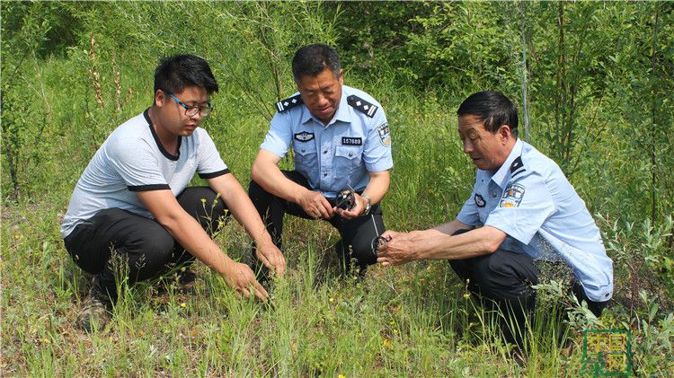 滿歸森林公安局民警熟悉了解環形鼠夾生物捕鼠法.JPG