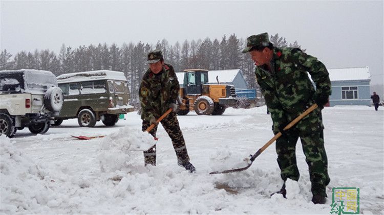 阿里河林業(yè)局興阿林場積極組織干部職工清理積雪.jpg