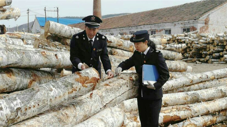 滿歸林業局森防站加強涉外木材檢疫力度.jpg