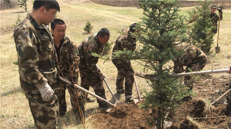 克一河林業局庫亞林場青年志愿者服務隊 開展義務植樹活動.jpg