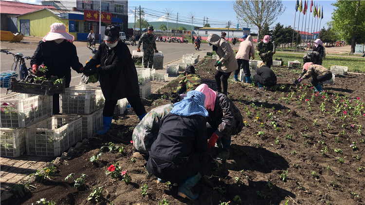 烏局中心苗圃為地區(qū)添美景竇琳高樹(shù)清.jpg