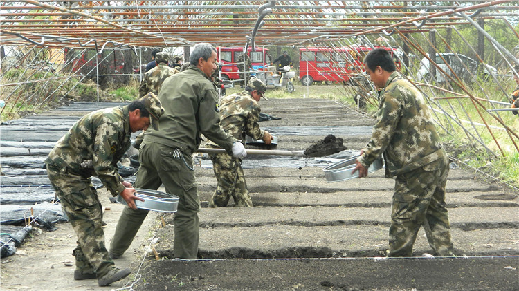 克一河林業局庫亞林場“志愿服務隊”到苗圃進行義務勞動.JPG