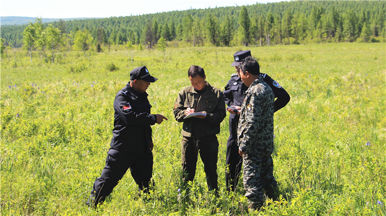 綽源貯木場加大禁種鏟毒力度.JPG