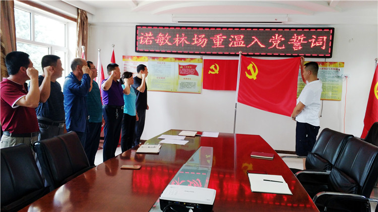 畢拉河林業局諾敏林場黨員重溫入黨誓詞.jpg