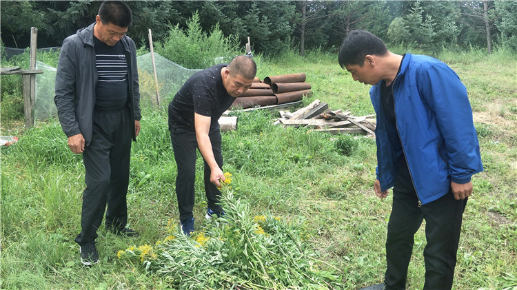 綽源局翠嶺林場加強對入山采集山野菜人員的管理.jpg