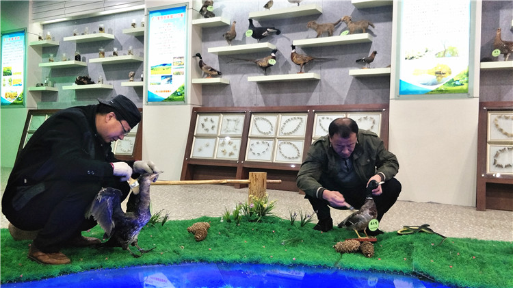綽源局開展清潔工作打造靚麗生態館.jpg