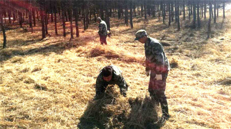 五十九林場進行鋤草打隔離帶備戰春防.jpg