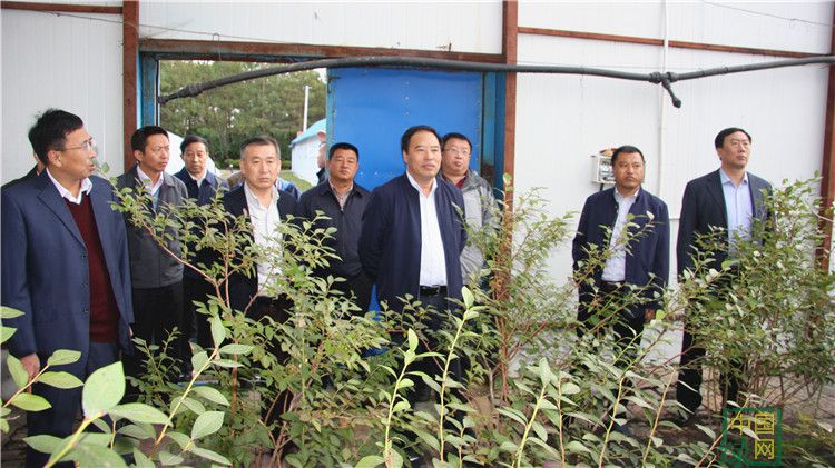 陳佰山到大楊樹林業局調研指導工作1 (4).JPG