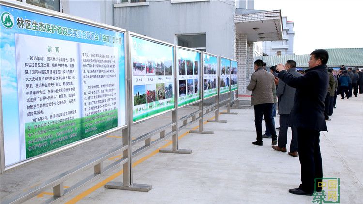 林區生態保護建設購買服務現場會在根河林業局繼續進行 (2).JPG