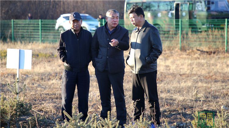 林區生態保護建設購買服務現場會在根河林業局繼續進行 (6).JPG