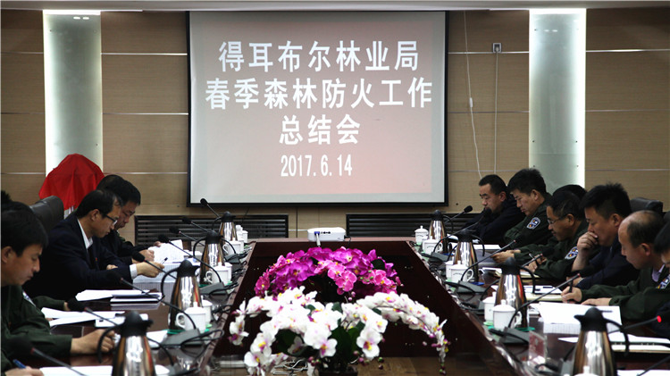 6月14日，內(nèi)蒙古得耳布爾林業(yè)局召開春季森林防火總結(jié)會，安排部署了下一步得耳布爾林業(yè)局森林防火工作。（薛英）攝IMG_2683 (6).jpg