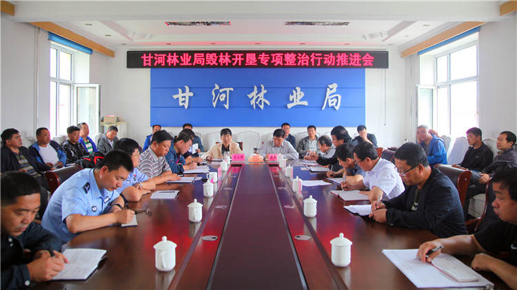 甘河林業局毀林開墾專項整治_副本.jpg