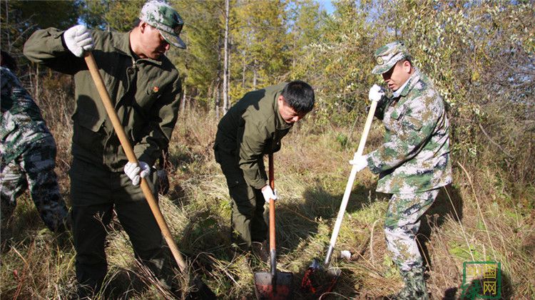 大楊樹林業局“黨員活動日”植樹忙.JPG