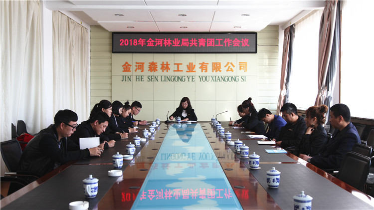 金河林業局團委召開2018年共青團工作會議.JPG