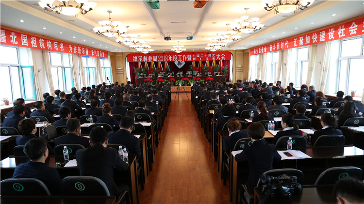 綽爾林業局召開2018年度工作暨七屆二十四次職工代表大會（攝影：李浩）.JPG