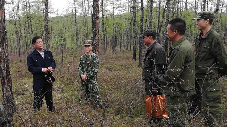 阿龍山林業局加強安全生產和森林撫育質量工作質量 (1).jpg