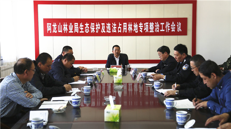 阿龍山林業局召開生態保護及違法占用林地專項整治工作會議.JPG