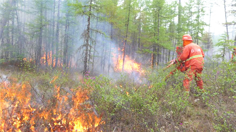 撲火事跡(2).jpg