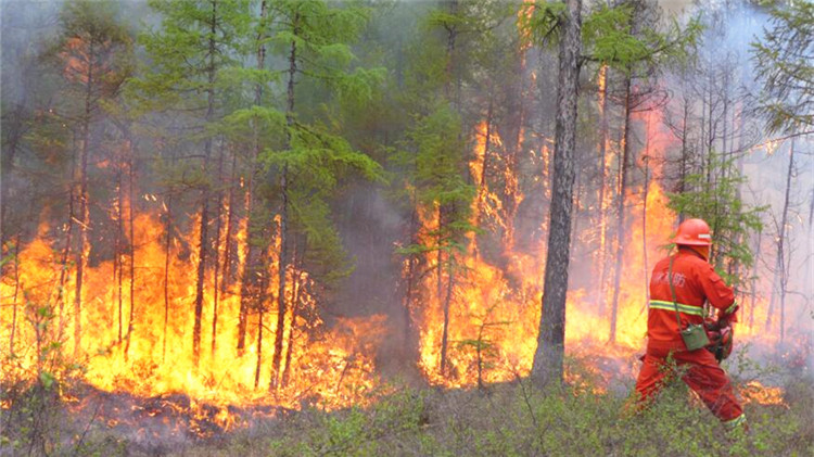 撲火事跡(3).jpg