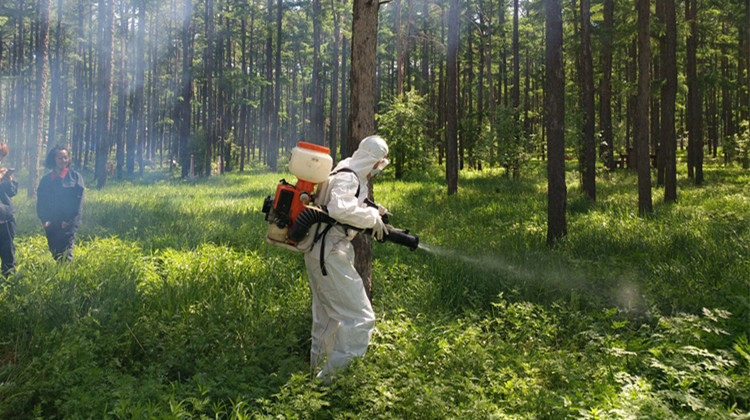 阿爾山林業局工會舉辦林業有害生物防治員檢疫員職業技能比賽 (1).jpg