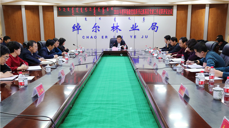 綽爾林業(yè)局黨委召開書記述職會議.JPG
