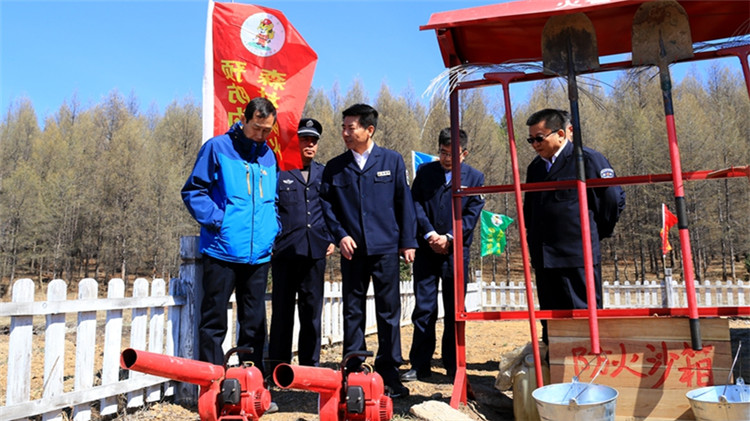 國(guó)家林業(yè)和草原局森林防滅火專項(xiàng)督查組到莫爾道嘎林區(qū)檢查督導(dǎo)森林防滅火工作 (1).JPG