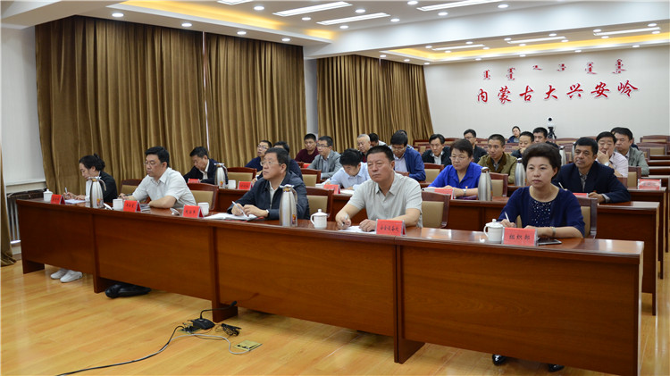 全區(qū)第二季度安全生產(chǎn)工作視頻會(huì)議 (1).JPG