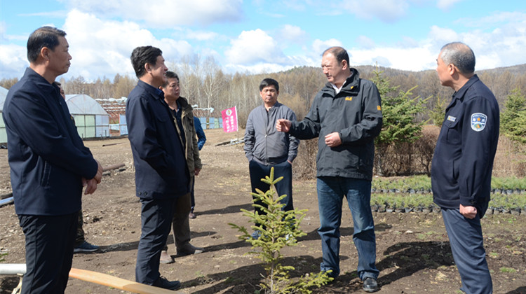 在滿歸林業局中心苗圃，閆宏光查看育苗工作，詳細詢問種苗品種、數量，強調要加強種苗培育，滿足造林需求.JPG
