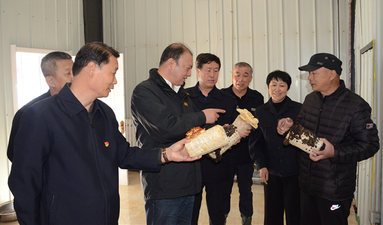 閆宏光在滿歸林業局白馬林場食用菌基地查看實驗菌種，了解食用菌產業的體制機制和發展情況.JPG
