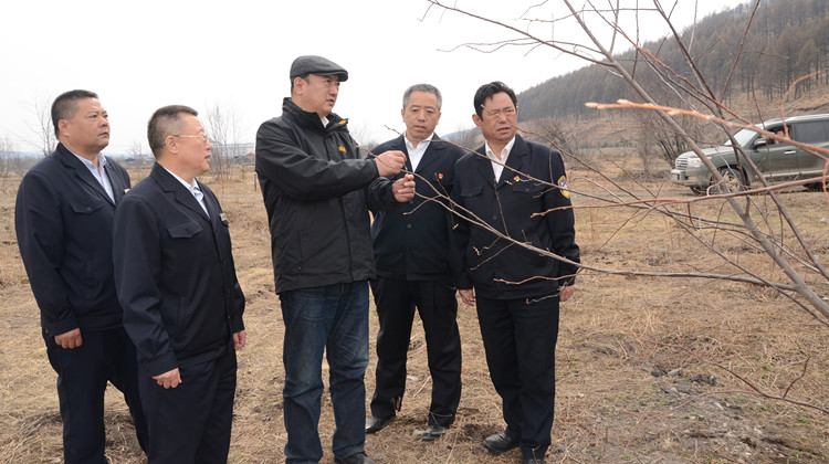 閆宏光在得耳布爾林業(yè)局一處造林地塊查看新栽植的稠李子、山丁子，指出要適地適樹(shù)開(kāi)展綠化造林，兼顧生態(tài)效益、社會(huì)效益、景觀效益.JPG