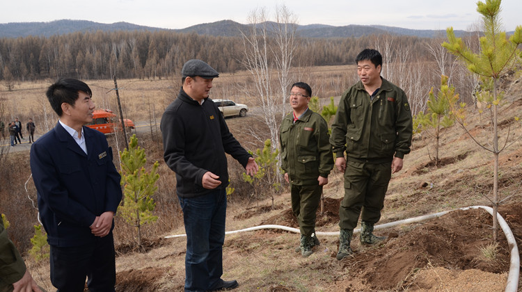 在莫爾道嘎林業(yè)局一處造林地塊，閆宏光登上高山陡坡，實(shí)地查看造林質(zhì)量，要求嚴(yán)格落實(shí)造林技術(shù)要求，確保成活率.JPG