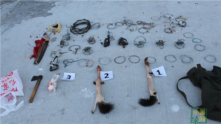 克一河非法獵捕案 (1).JPG