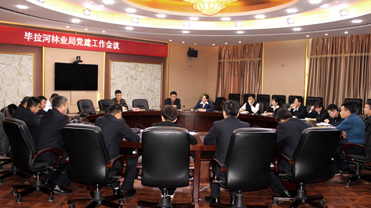 畢拉河林業(yè)局召開黨建工作會議.JPG