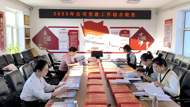 伊圖里河林業(yè)有限公司開(kāi)展2023年度黨建工作綜合考評(píng).jpg