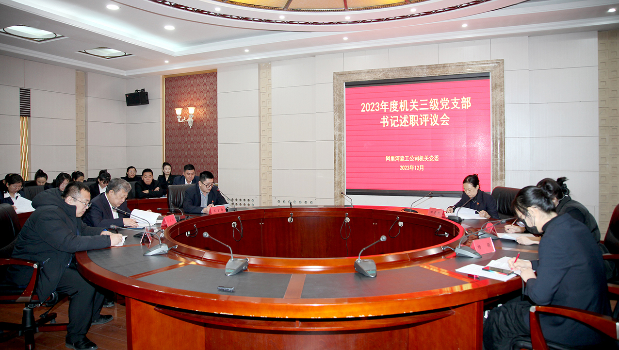 阿里河森工公司機關黨委召開2023年度黨支部書記抓黨建述職評議會 (4) 拷貝.jpg