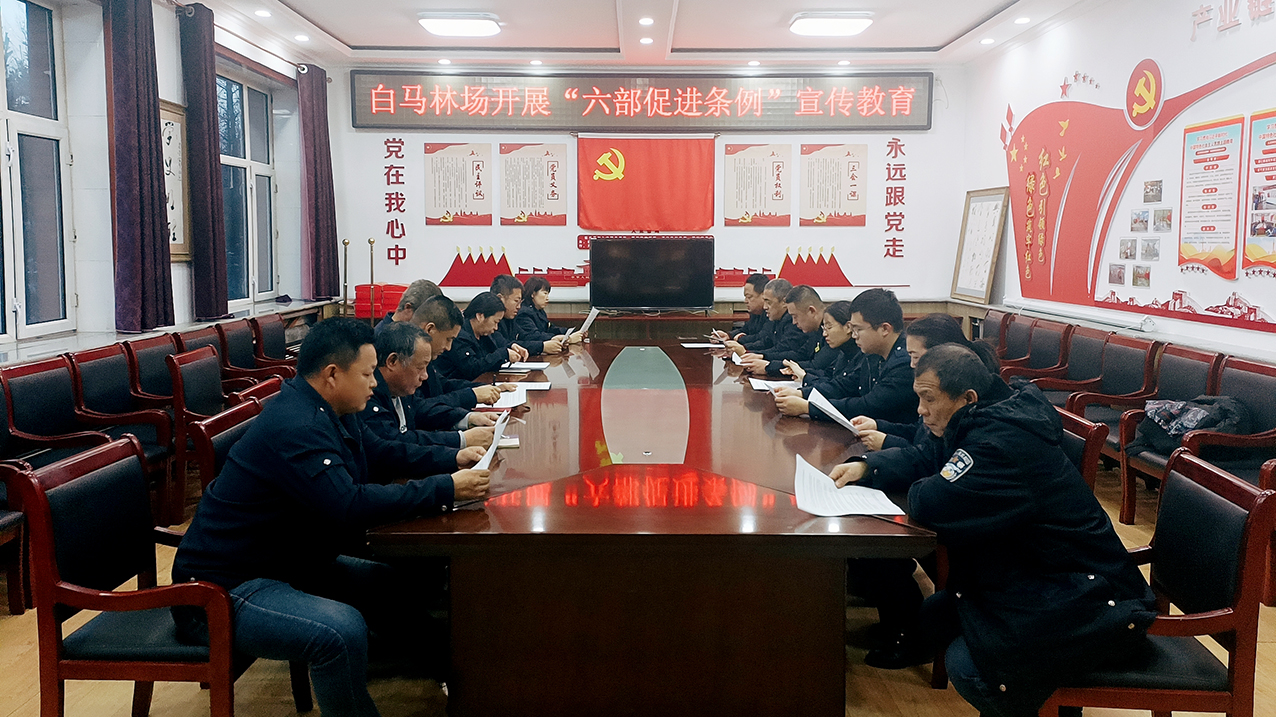 滿歸森工公司白馬林場(chǎng)開展“六部促進(jìn)條例”宣傳教育 拷貝.jpg