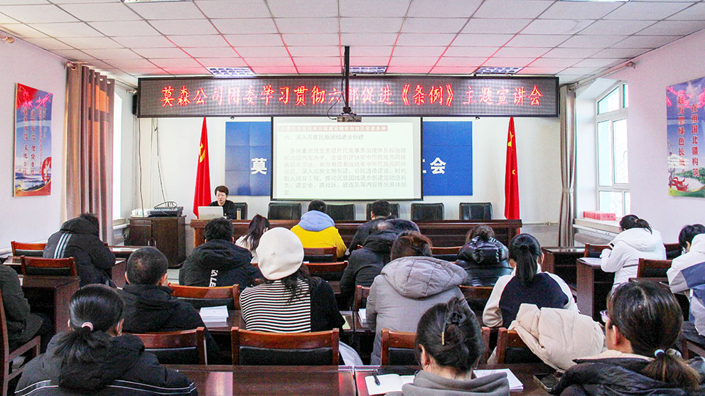 莫爾道嘎森工公司團委舉辦學習貫徹六部促進《條例》主題宣講會 拷貝.jpg