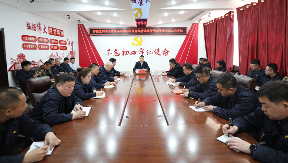 伊圖里河林業有限公司召開2024年度森林資源監督管理暨林長制工作會議_副本.jpg