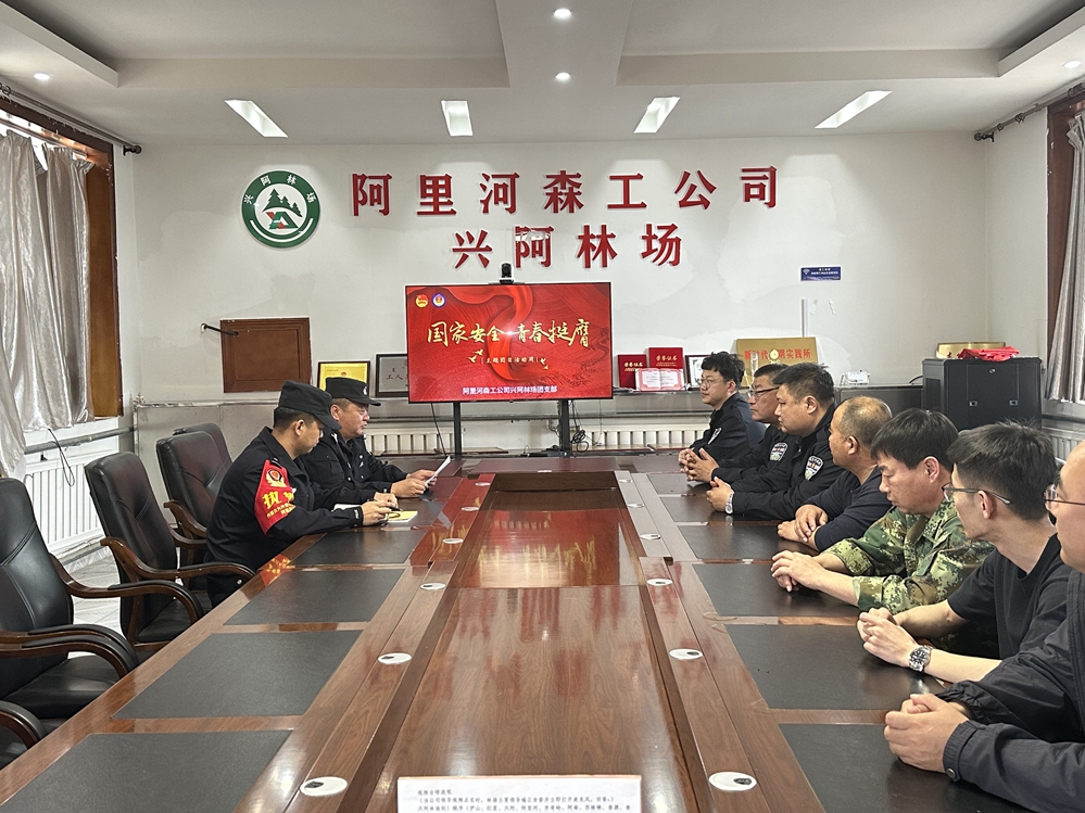阿里河森工公司興阿林場團支部與興阿派出所共同開展“國家安全 青春挺膺”主題團日活動.JPG