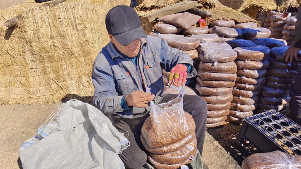 大力發展食用菌產業.jpg