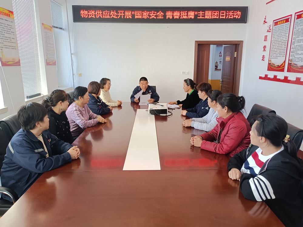 得耳布爾森工公司物資供應處團支部開展“國家安全 青春挺膺”主題團日活動.jpg