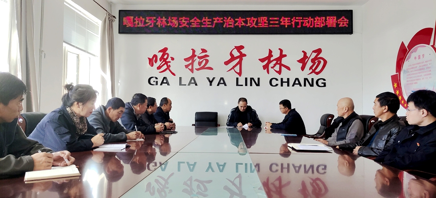 金河森工公司嘎拉牙林場安全生產治本攻堅三年行動部署.jpg