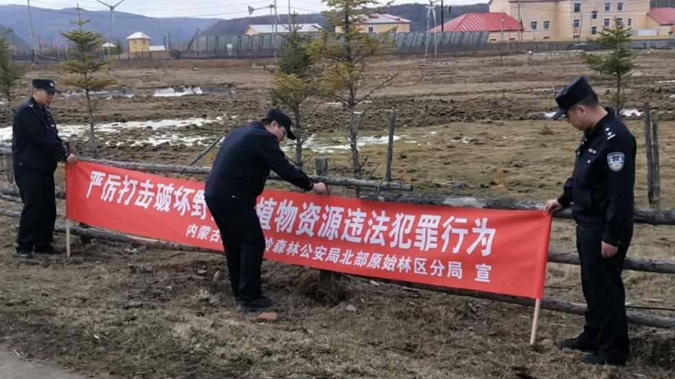 4.北部原始林區分局聯合北部原始林區管護局開展打擊破壞野生動植物資源違法犯罪行為以及加強生態資源保護宣傳活動.jpg