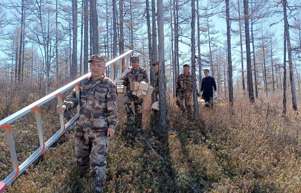 金河森工公司開展以鳥治蟲綠色防治.jpg