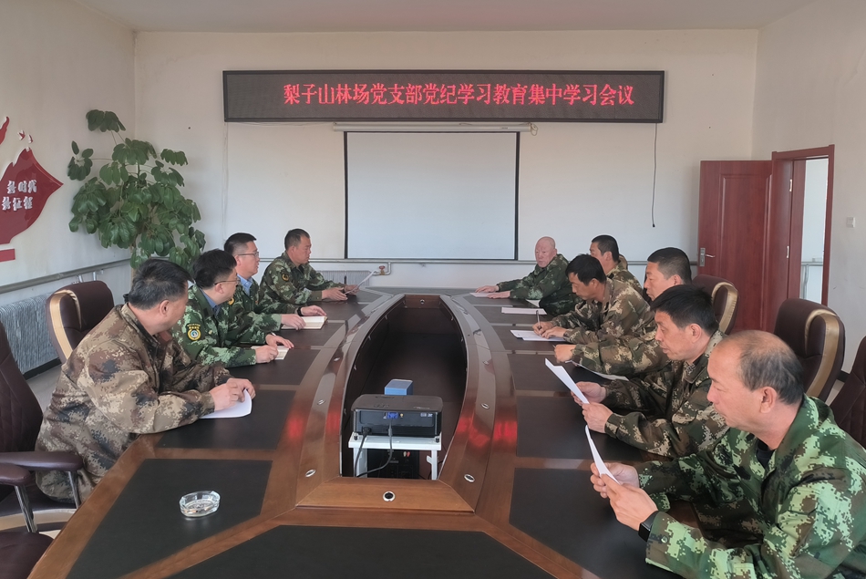 綽源森工公司梨子山林場黨支部召開黨紀學習教育學習會.jpg