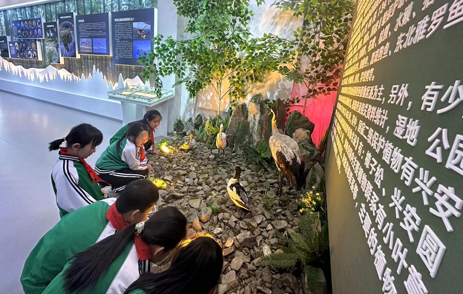 伊圖里河林業有限公司產業發展中心開展“走進濕地、關愛鳥類”社會實踐活動.jpg