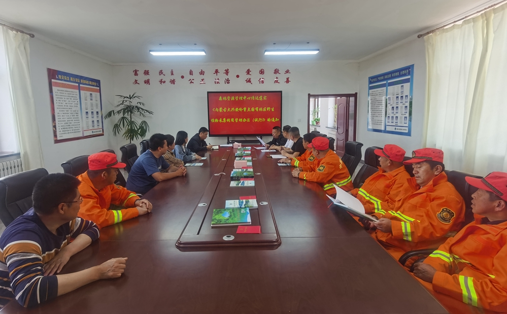 阿龍山森工公司森林資源管理中心多措并舉做好林下資源采集管理工作.jpg