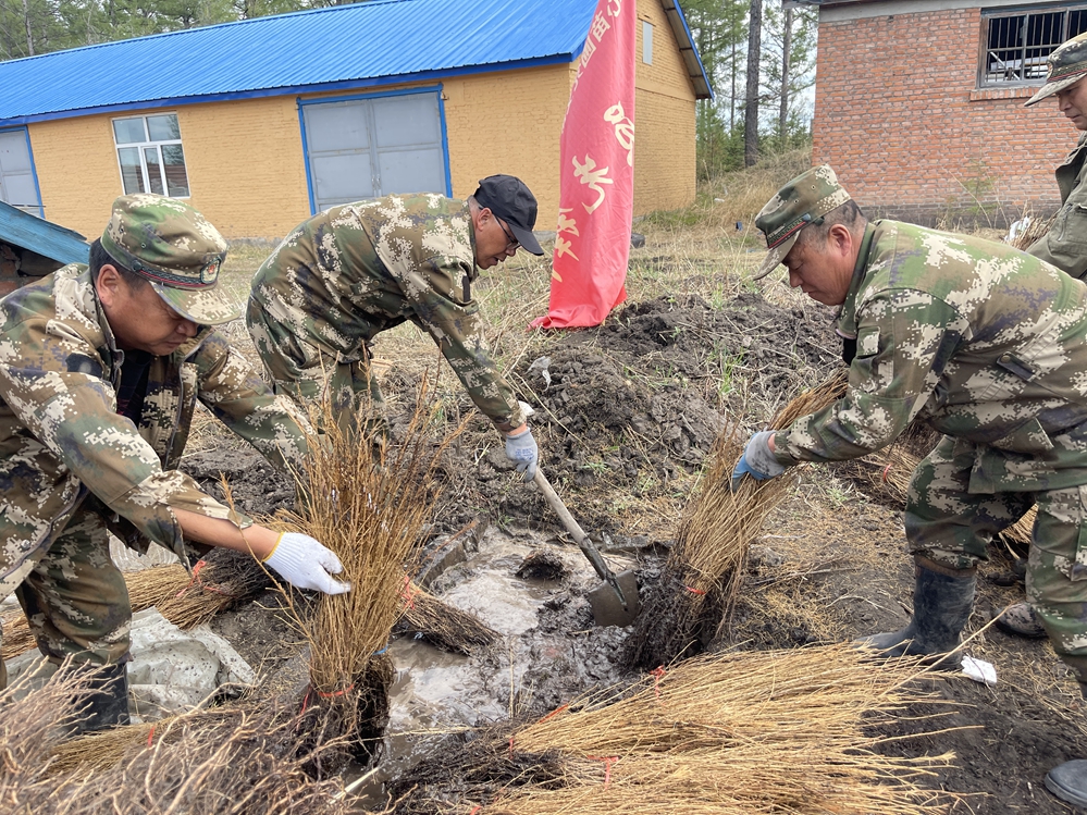庫都爾森工公司中心苗圃開展黨員崗位練兵活動.docx1.jpg